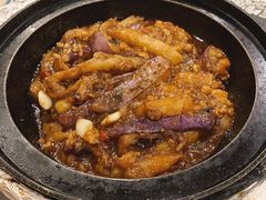 茄子煲-粤·向群饭店(龙津东路总店)