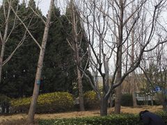 -德胜公园