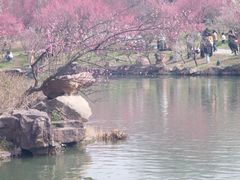 -天目湖山水园