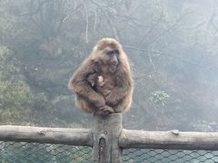 -峨眉山风景名胜区
