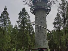 -黄海国家森林公园