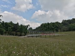 -保利石象湖景区