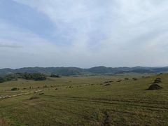 -塞罕坝国家级自然保护区