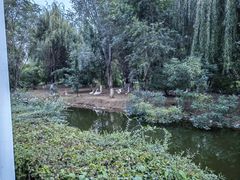 -长白岛森林公园