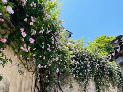 -惠山古镇·寄畅园