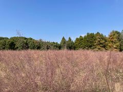 -同里国家湿地公园
