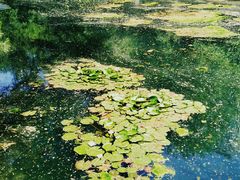 -长白岛森林公园