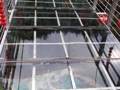 -九龙江国家森林公园