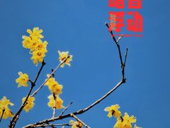 -龙美术馆西岸馆-停车场