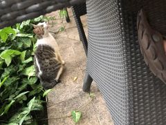 -厦门日月谷温泉渡假村