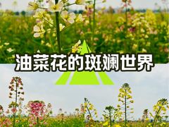 -中国天府农业博览园