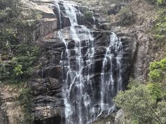 -海南热带雨林国家公园吊罗山景区