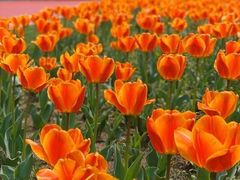 -南山风景名胜区