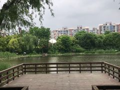 -新江湾城公园
