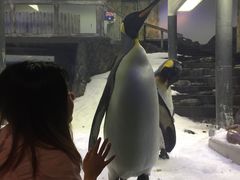 -悉尼海洋生物水族馆