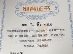 -纳吉亚猫专科动物诊疗中心(蒋宅口分院)