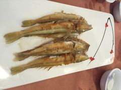 海珊瑚主题餐厅(湛江店)-御唐府海珊瑚主题餐厅
