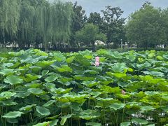 -石湖景区