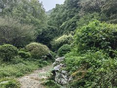 -习家池