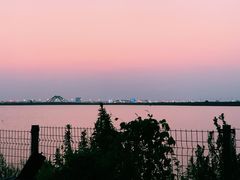 -南汇嘴观海公园