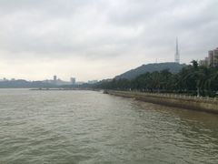 -野狸岛
