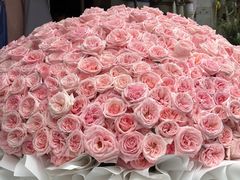 -循礼门鲜花花市(武汉循礼门店)