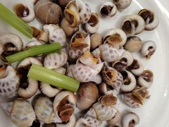 -驻海渔市(置信店)