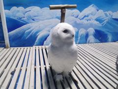 -成都浩海立方海洋公园