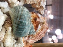 -菊上料理(蜀山银泰百货店)