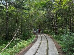 -五营红松林海景区