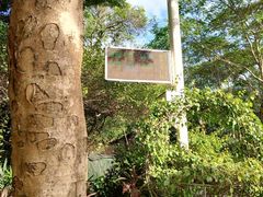 -梧桐山风景名胜区