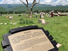 -新疆那拉提国家旅游度假区