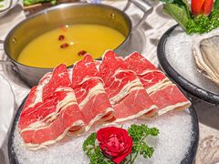 -汤城·料青山