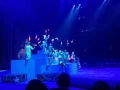 -珠海横琴长隆《卡卡虎奇遇记》