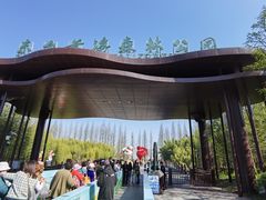 -黄海国家森林公园