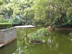 -九龙公园