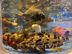 -金苑海鲜酒家(来魅力店)