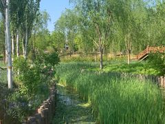 -张家湾公园