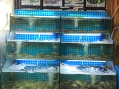 水产区-老东镇啤酒屋海鲜加工·蒸汽海鲜·海鲜烧烤(台东店)