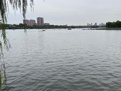 -济南大明湖景区