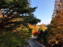 -神户市立六甲山牧场