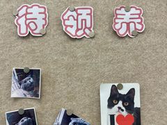 -美联众合爱康动物医院•复杂内科•肿瘤科•牙科•腔镜诊疗中心