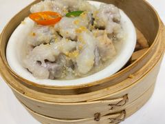-金粤九号(李公堤店)