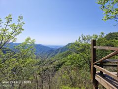 -大岭沟猕猴桃谷风景区