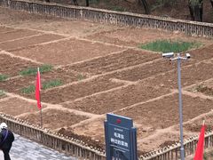 -延安杨家岭革命旧址