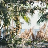 超具性价比！！！[加油][加油][加油]自然清新的户外森系婚礼