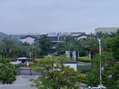 -宝安西湾红树林湿地公园