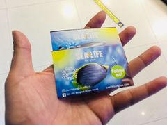 -暹罗海洋世界