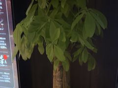 -泰之源足浴会所(玉环店)