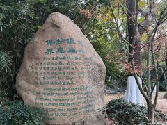 -吴淞炮台湾湿地森林公园烧烤区